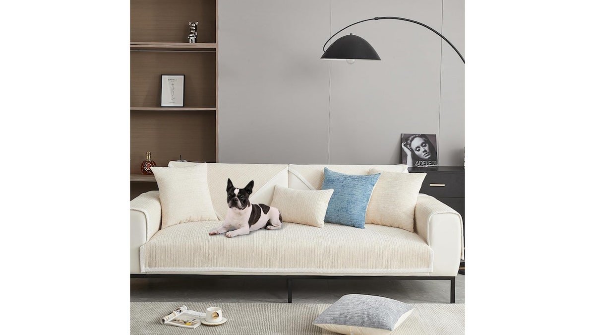 Protégez votre canapé des enfants et des animaux de compagnie.