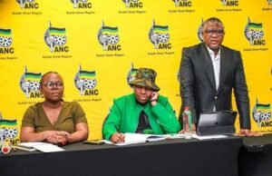 L’ANC W Cape reconfiguré présente ses plans pour revitaliser le parti