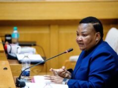 Le vice-ministre de la Police, Boshielo, révèle une crise de leadership « toxique » au sein du SAPS