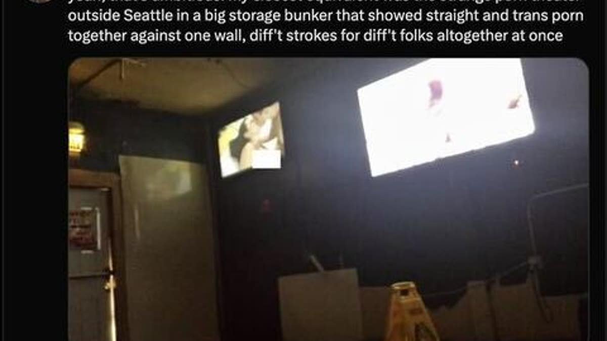 capture d'écran du théâtre-blanc-strub