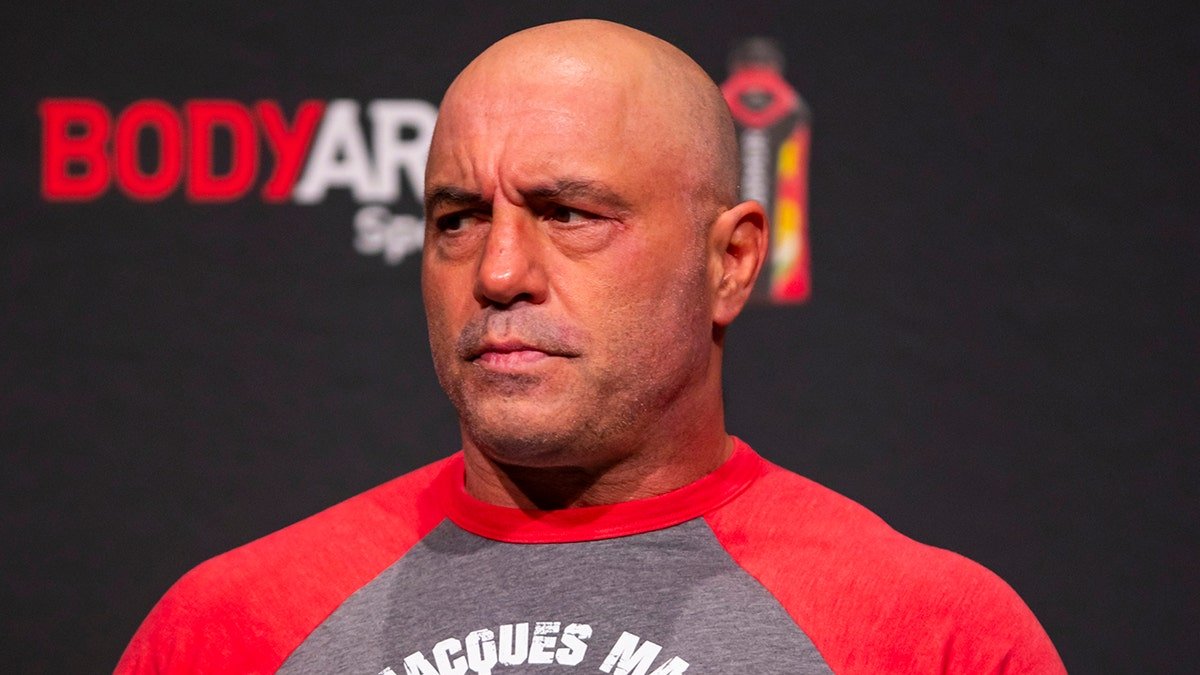 Joe Rogan lors d'un combat à l'UFC
