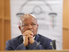 Comment Mchunu a contourné le haut policier lors de la dissolution d’une unité de police d’élite