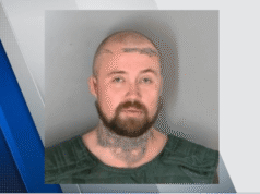 Un homme du comté de Macomb incendie la maison de sa petite amie, tuant deux chats